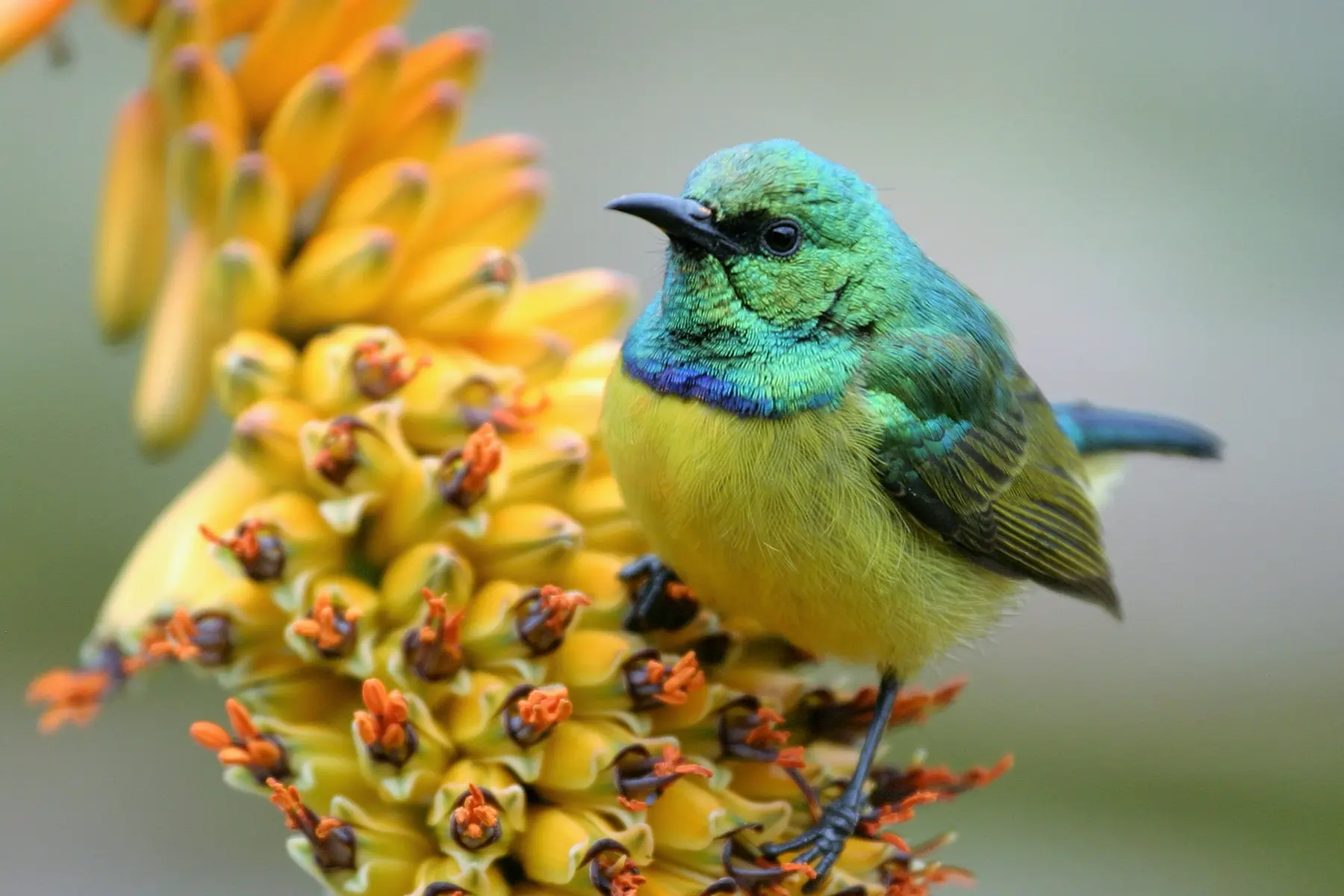 South Africa Kruger National Park Tours