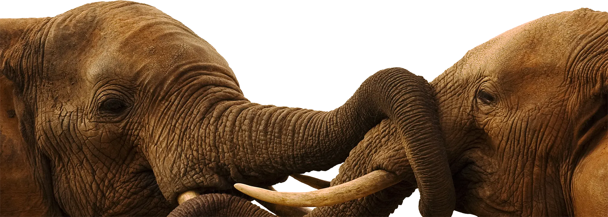 Travel company Southern Africa