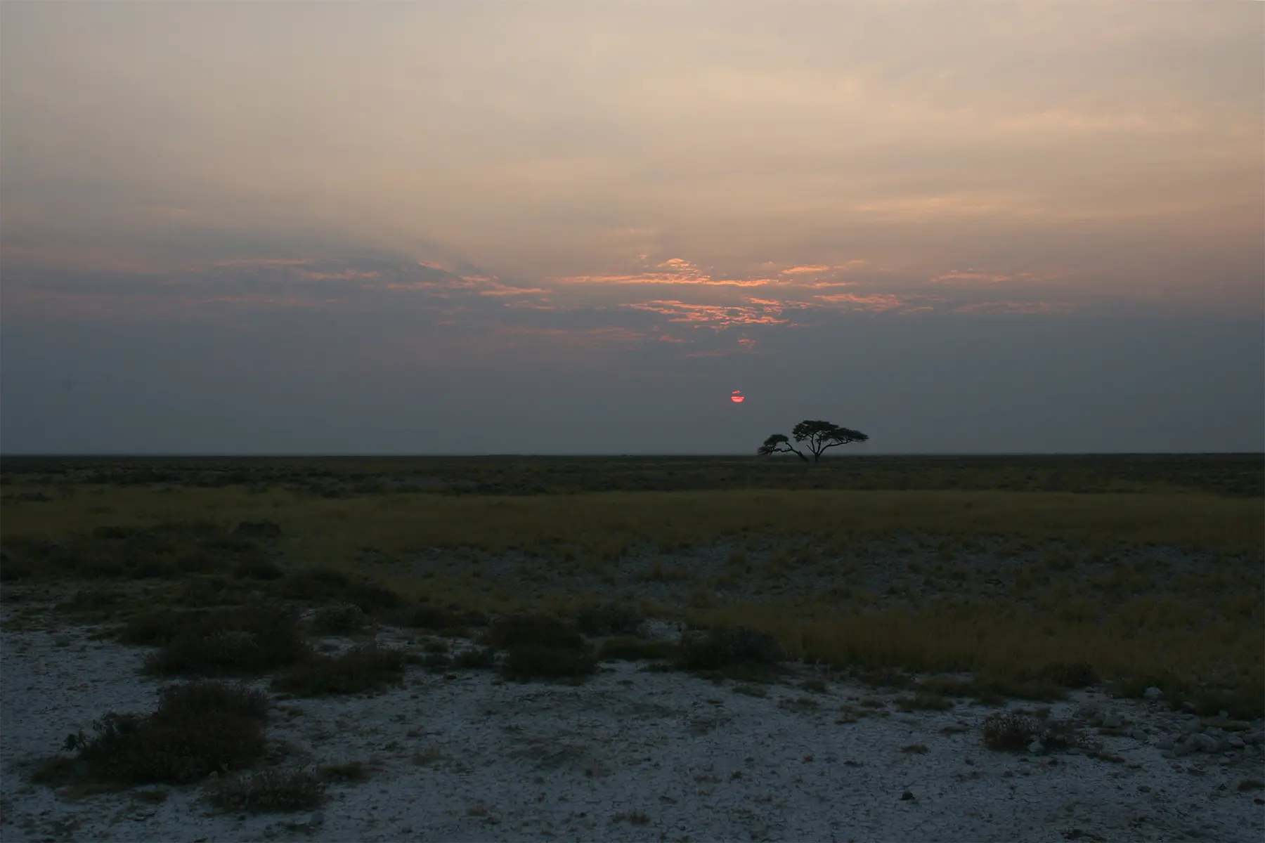 Namibia Etosha Tours